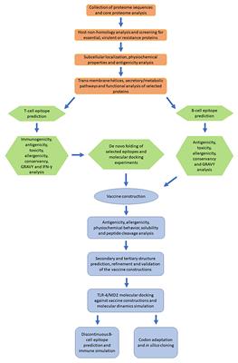 A Systematic Immuno-Informatic Approach to Design a Multiepitope-Based Vaccine Against Emerging Multiple Drug Resistant Serratia marcescens